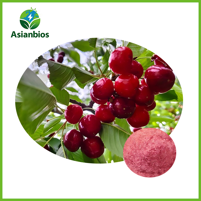 best tart cherry powder